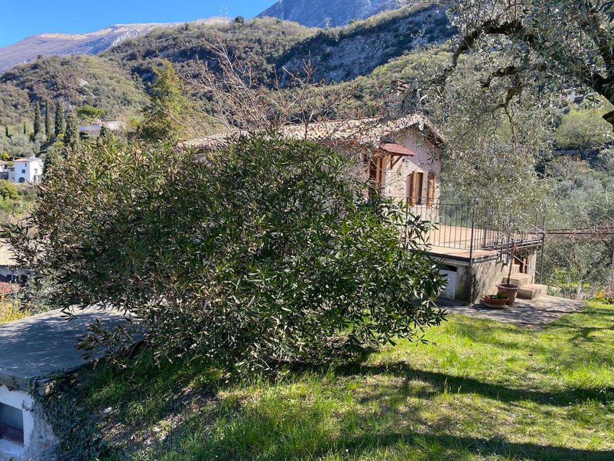 Апартаменты Olive Grove House Мальчезине Экстерьер фото