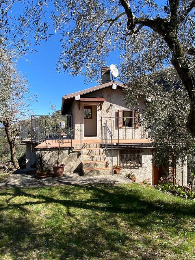 Апартаменты Olive Grove House Мальчезине Экстерьер фото